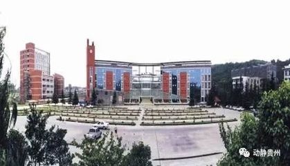 教育部“双高计划”名单揭晓 贵州三校入选彰显职教新力量